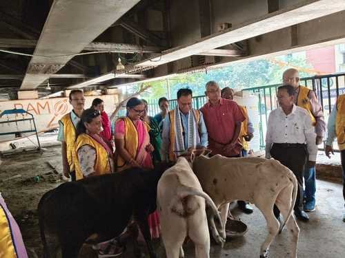 Donating Cattle feed to in a Gou Seva Kendra by LCB Bankers